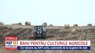 Subvenția APIA la hectar plătită în 2018