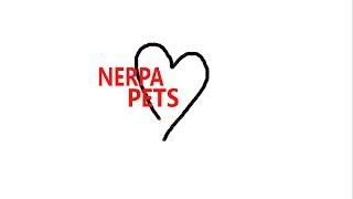 трейлер к каналу NERPA PETS #1