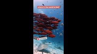 underwater world in 3...2...1...