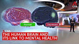 What causes mental illnesses? The human brain and its link to mental health