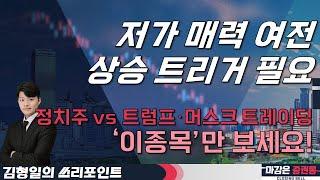 저가 매력 여전 상승 트리거 필요! 정치주 vs 트럼프·머스크 트레이딩 ‘이종목’만 보세요! #김형일 #화장품 #정치주 #트럼프 #머스크