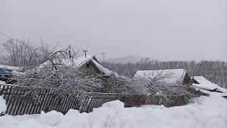 Деревенские зарисовки. Жизнь в деревне зимой