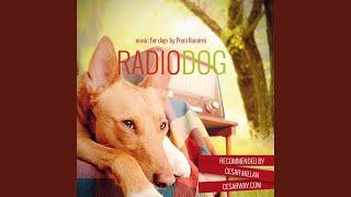Radiodog