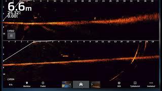 Garmin Livescope LVS34 and LVS62 XR pike attack