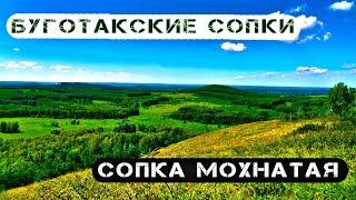 Буготакские сопки: сопка Мохнатая