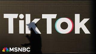 TikTok files to pause U.S. ban