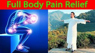 Tai Chi Exercises for Full Body Pain Relief  |  Taichi Zidong