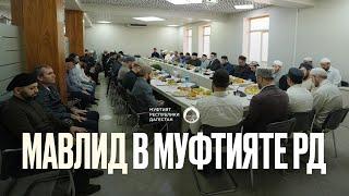 МАВЛИД В МУФТИЯТЕ ДАГЕСТАНА