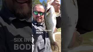 Berkley Hollow Body Swimbait