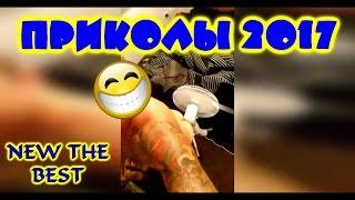 ПРИКОЛЫ Happy Smile Cat #18 the best Свежие угарные ВИДОСИКИ ДЛЯ ТЕБЯ  Лучшие Подборки ПРИКОЛОВ