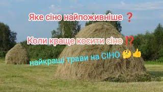 ‼️Хороше сіно ЦЕ ⁉️яке сіно найкраще та дуже поживне⁉️ які трави посіяти на сіно  farmer milk cow 