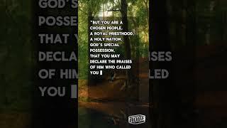 In your business, embrace this identity and let God's light guide your path.