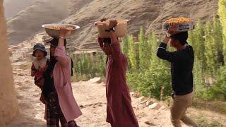 village life in Afghanistan#ibrahim danish#bbc#cnn#mrbeast