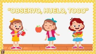 OBSERVO, HUELO, TOCO - SEMANA 29 (Recurso Aprendo en Casa) / Aprendiendo en Familia 