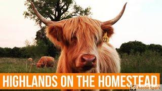 Are highlands good for hobby farms and homesteads?