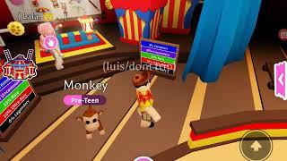 Monkey pet