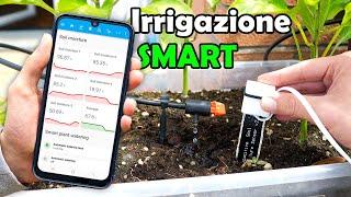 Watering the Plants WITHOUT WASTING WATER with our Smart Home!