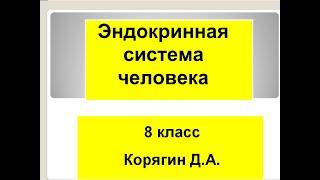 8 класс  Роль эндокринной регуляции