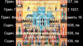 Собор Липецких Святых