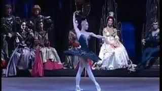 Anastasia Volochkova as Odile in  Swan Lake    Dance&Ballet by Nermana Kozlić