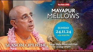 Full Live Stream – Mayapur Mellows – 24th November 2024 – SEASON OPENING!!!