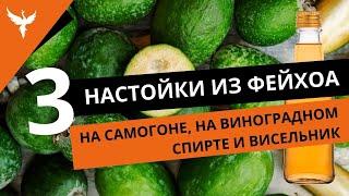 рДЖ 48: Три настойки из фейхоа. На самогоне, на виноградном спирте и висельник. Ароматная кислинка