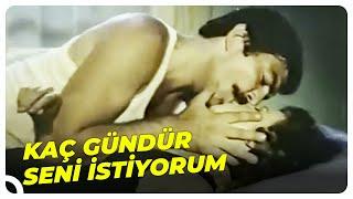 Sadece İsteğin Kabarınca Beni İstiyorsun | Müjde Ar Türk Filmi