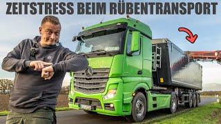 Zeitstress für Trucker Justus beim Zuckerrüben-Transport  | Doku