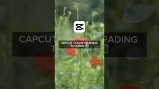 CC Color Grading Tutorial | CapCut Color Grading Tutorial | #capcuttutorial #colorgrading