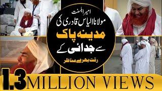 Maulana Ilyas Qadri Ki Madina Pak Se Judai Kay Riqqat Bhare Manazir – Hajj 2019 – Part 15