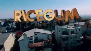 Ricegum's EPIC New Disstrack