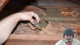 Good Home Inspector VS. Experienced Home Inspector