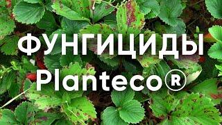 Биофунгициды Planteco: Триходермин ТН82 (Trichoderma harzianum) Фитодок BS26 (Bacillus subtilis)