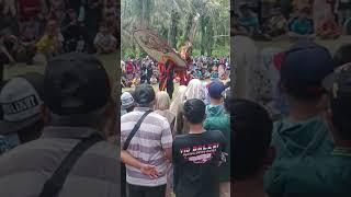 Hiburan rakyat #seni #kesenian #indonesia #reogponorogo #budaya #jawa #video #sorts #viral