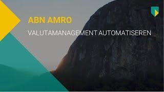 Valutamanagement automatiseren met ABN AMRO