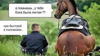Приступаем к работе ...