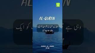 Surah Al-Anam #islam360 #islamicpost #Quran