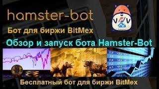 Hamster-Bot - обзор, настройка и установка бесплатного бота для биржи BitMex на VDS