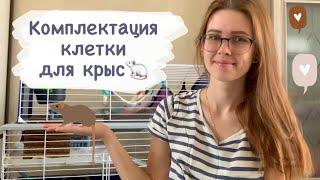 Что должно быть в клетке у крыс? Комплектация клетки для крыс Мои домики для крыс, гамаки для крыс