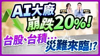 (字幕版)【AI大廠崩跌20%！台股、台積…災難來臨!?】2025.03.07 台股盤後