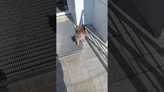 Василий на работе