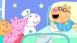 Visiting Pedro Pony In Hospital  | Peppa Pig Official Full Episodes