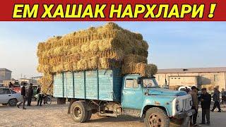 ЕМ ХАШАК НАРХЛАРИ ЯНГИ НАРХЛАР КАНДАЙ !!! ХОРАЗМ БОЗОР