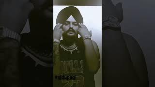 #sidumusewala #siduhavali #sidusheroes #sidul #sidushq #hone #missyou #si #sidumosewala #legand