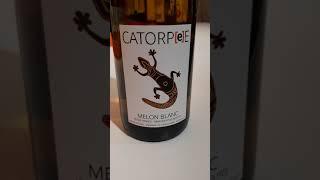 Romain Petiteau Vin de France blanc Catorpee Melon blanc 2019