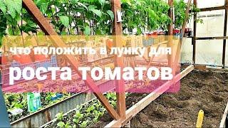 Чем заправить лунку при посадке томатов  Какие удобрения использую и почему