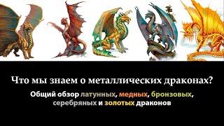 Что мы знаем о металлических драконах? | D&D Lore