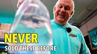 Brand New Fish Arrives! Master Breeder Unboxes His Rare Collection