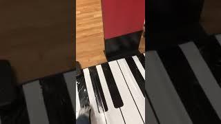 Me playing his theme on a floor piano