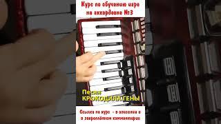 ПЕСНЯ КРОКОДИЛА ГЕНЫ  Пошаговое обучение на аккордеоне/ АНОНС с курса № 3